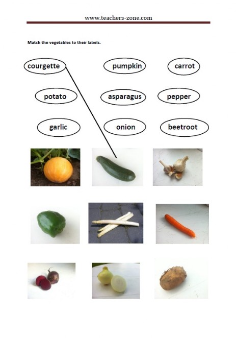 match the vegetables to their labels