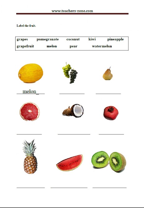 Free fruit printable worksheet