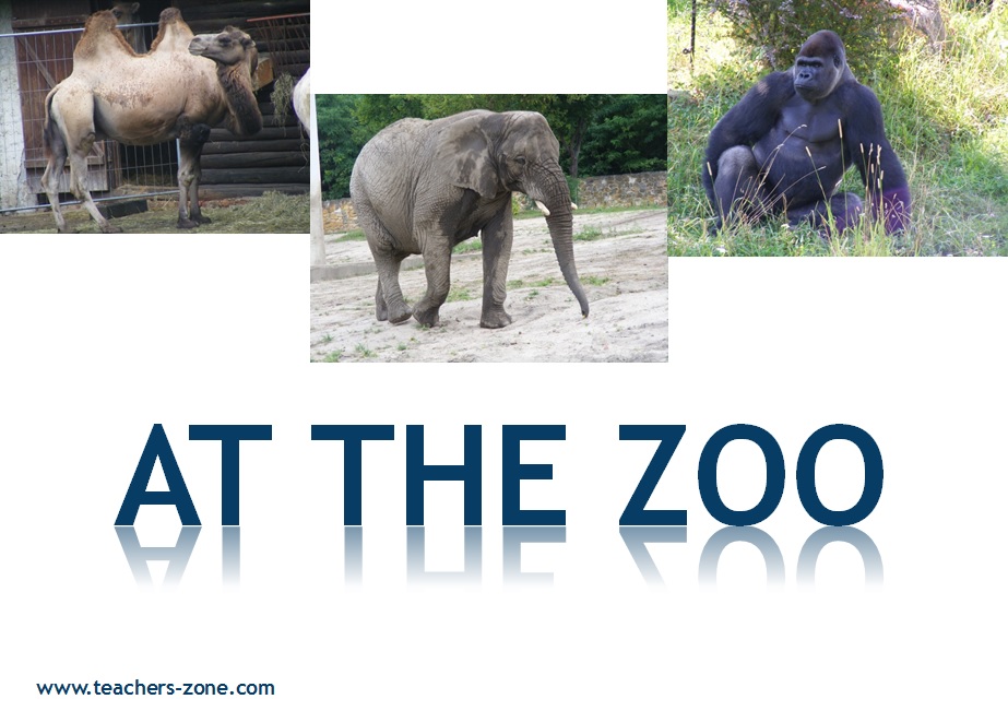 ZOO ANIMALS RESOURCES - Teacher's Zone Blog - Teacher's Zone