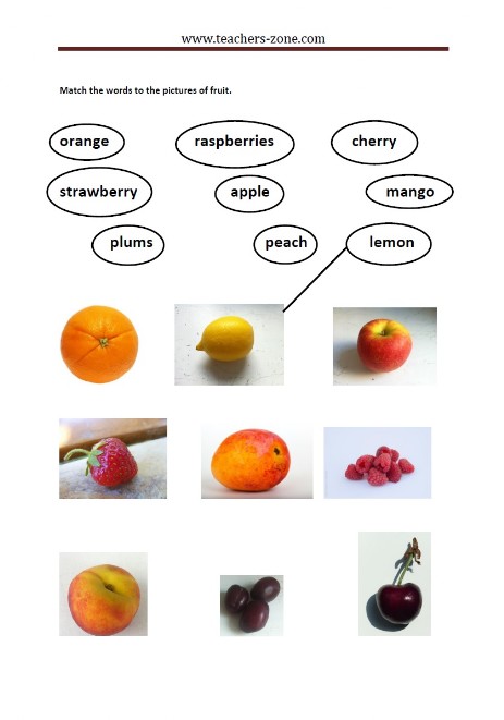 free fruit worksheets teachers zone