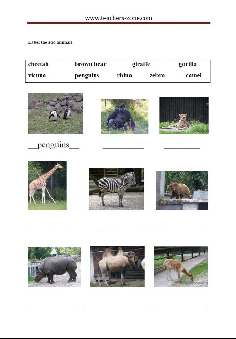 FREE ZOO ANIMALS WORKSHEETS - Teacher's Zone