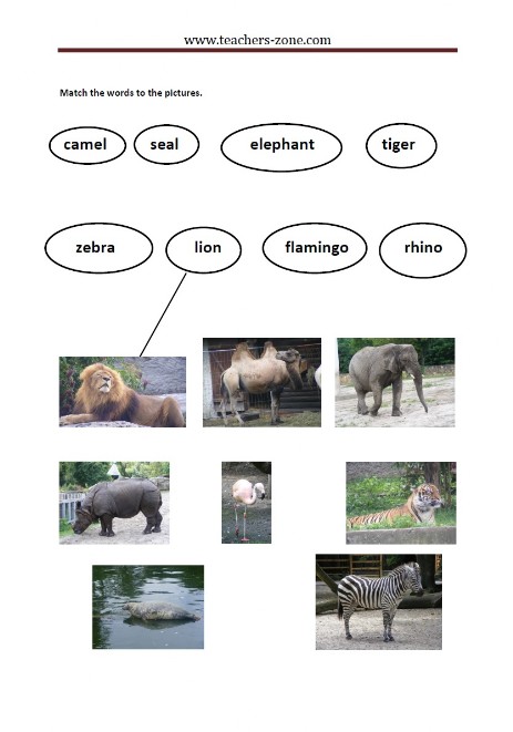 FREE ZOO ANIMALS WORKSHEETS - Teacher's Zone